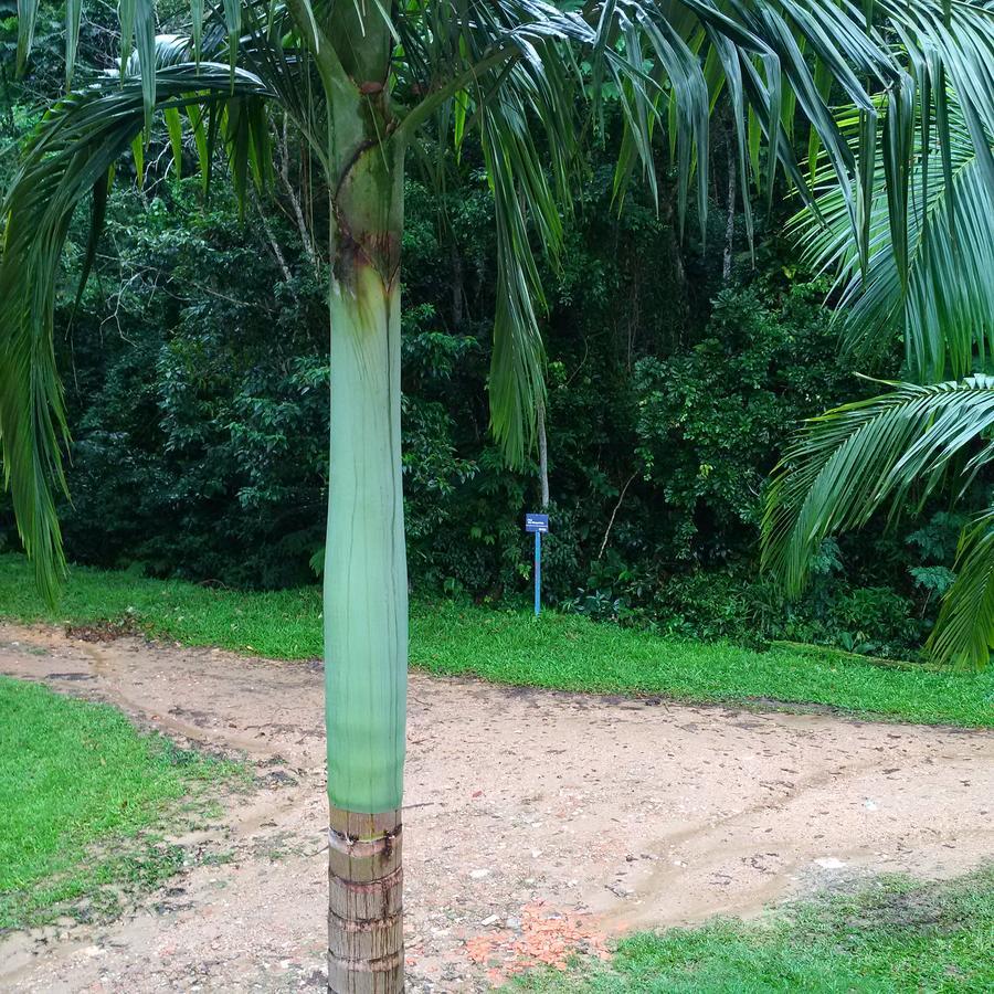 Suites Ubatuba Praia Da Lagoinha Eksteriør billede